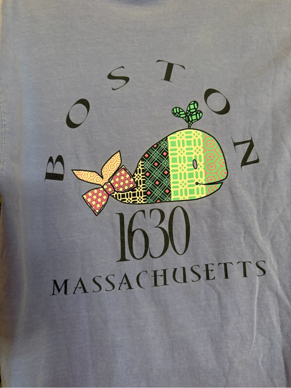 Vintage Boston Massachusetts Whale Graphic Tee - Blue - Picture 5 of 7